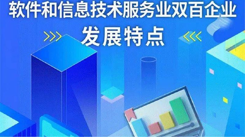 选择标准：关注系统稳定性、交付可控性与安全合规成本
