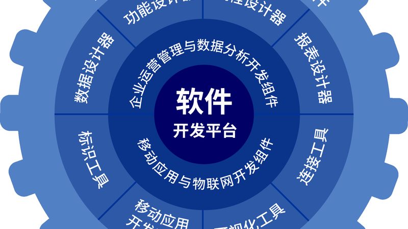 软件采购授权方式的揭秘：选择之道